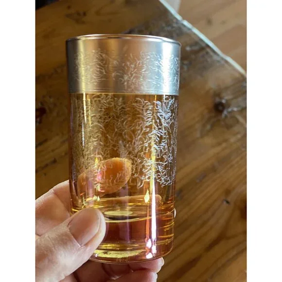 Vetri di Firenze Vtg Etched Colored Glass Etched Silver Top Rim Cordials Italian